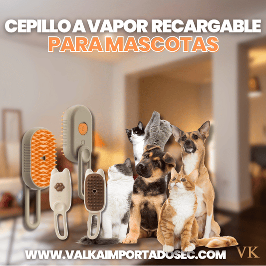 CEPILLO A VAPOR RECARGABLE + ENVÍO GRATIS